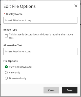 Edit File Options with Display Name, Image Type, Alternative Text, and File Options