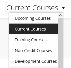 Current Courses